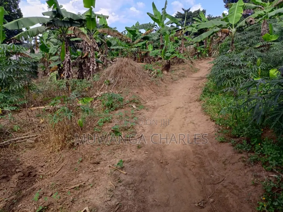 30decimals of Land for Sale at Matuuga