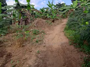 30decimals of Land for Sale at Matuuga