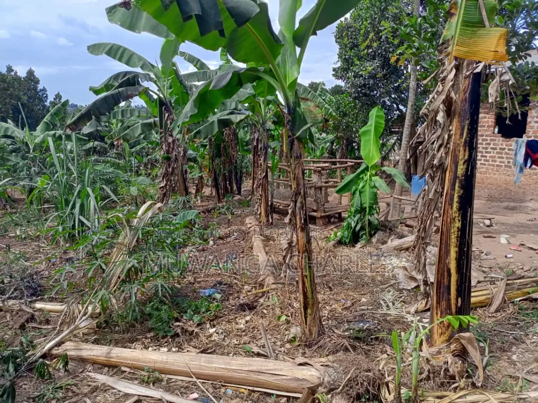 30decimals of Land for Sale at Matuuga