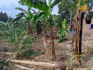 30decimals of Land for Sale at Matuuga