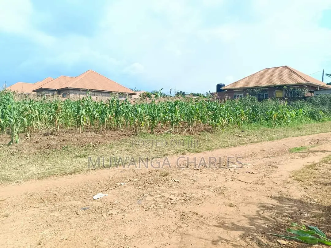 25decimals of Land for Sale at Buwate