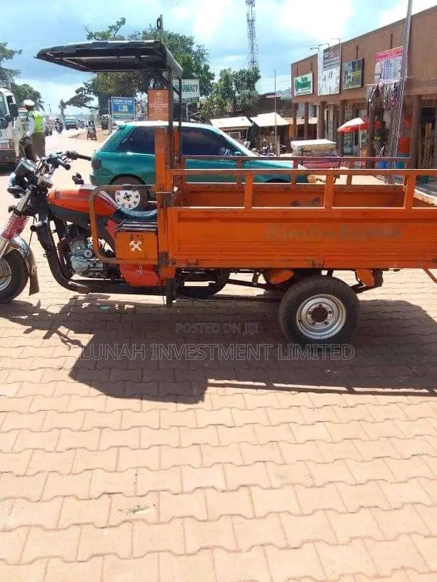 Tricycle 2023 Orange