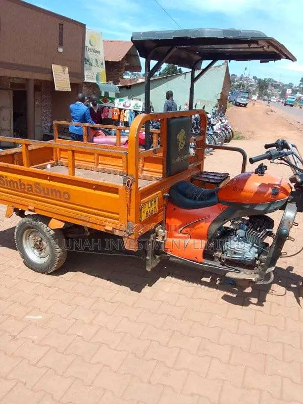 Tricycle 2023 Orange