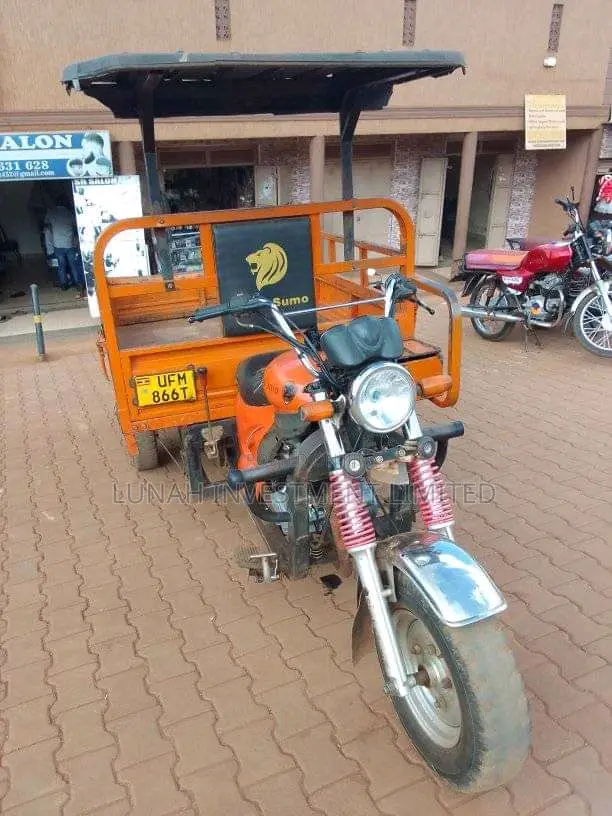 Tricycle 2023 Orange