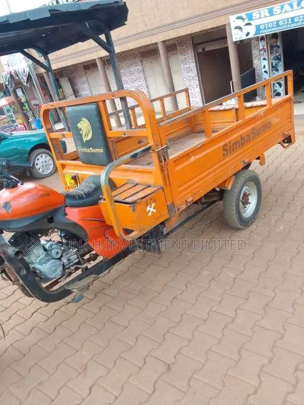 Tricycle 2023 Orange