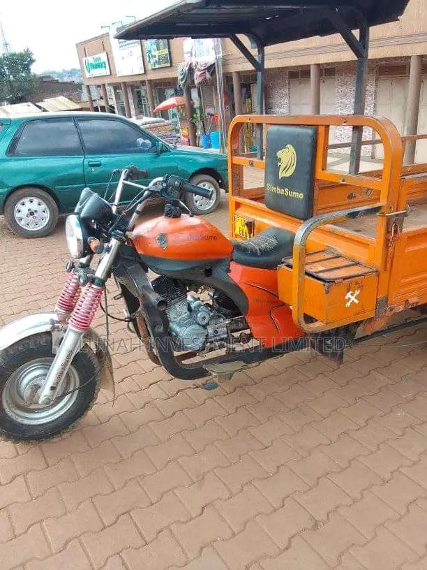 Tricycle 2023 Orange