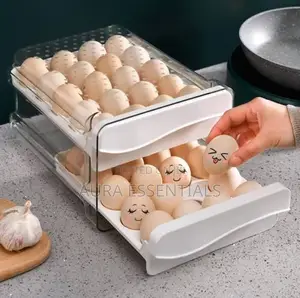 Multi-Layer Chicken Egg Storage Containers