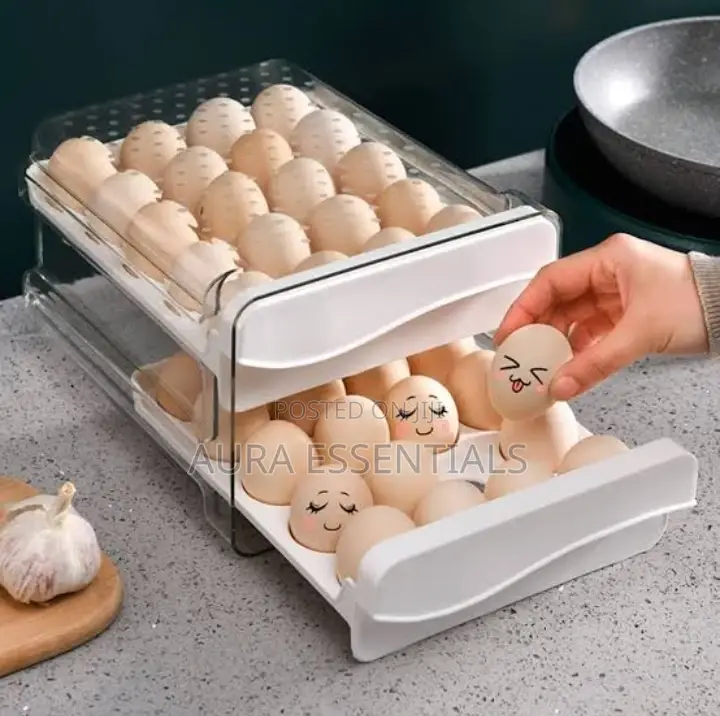 Multi-Layer Chicken Egg Storage Containers