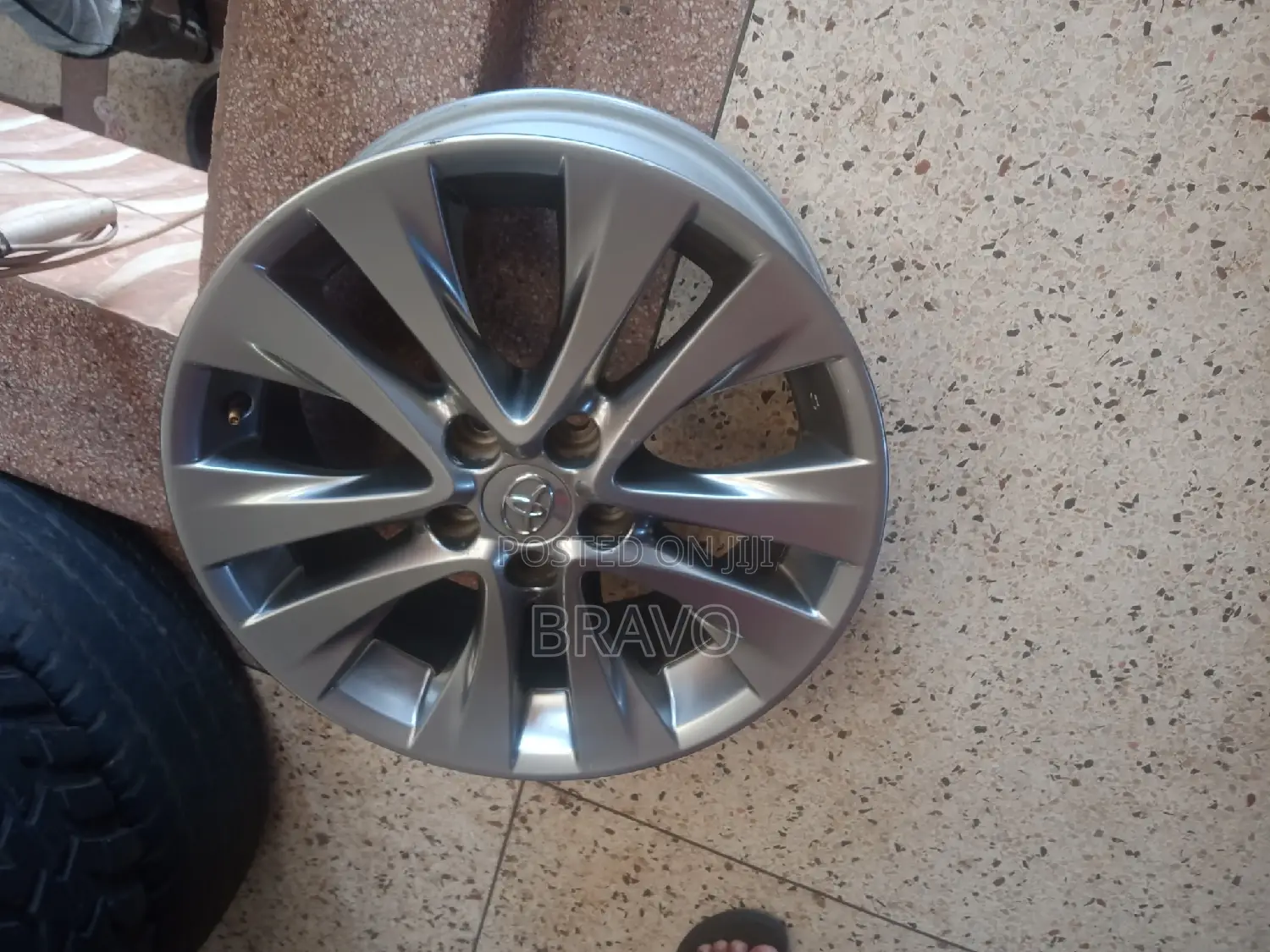 Size 18 Inch for Harrier Kawundo.