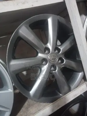 Size 18 Inch for Harrier Kawundo.