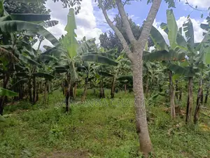 50decimals of Land for Sale in Matugga