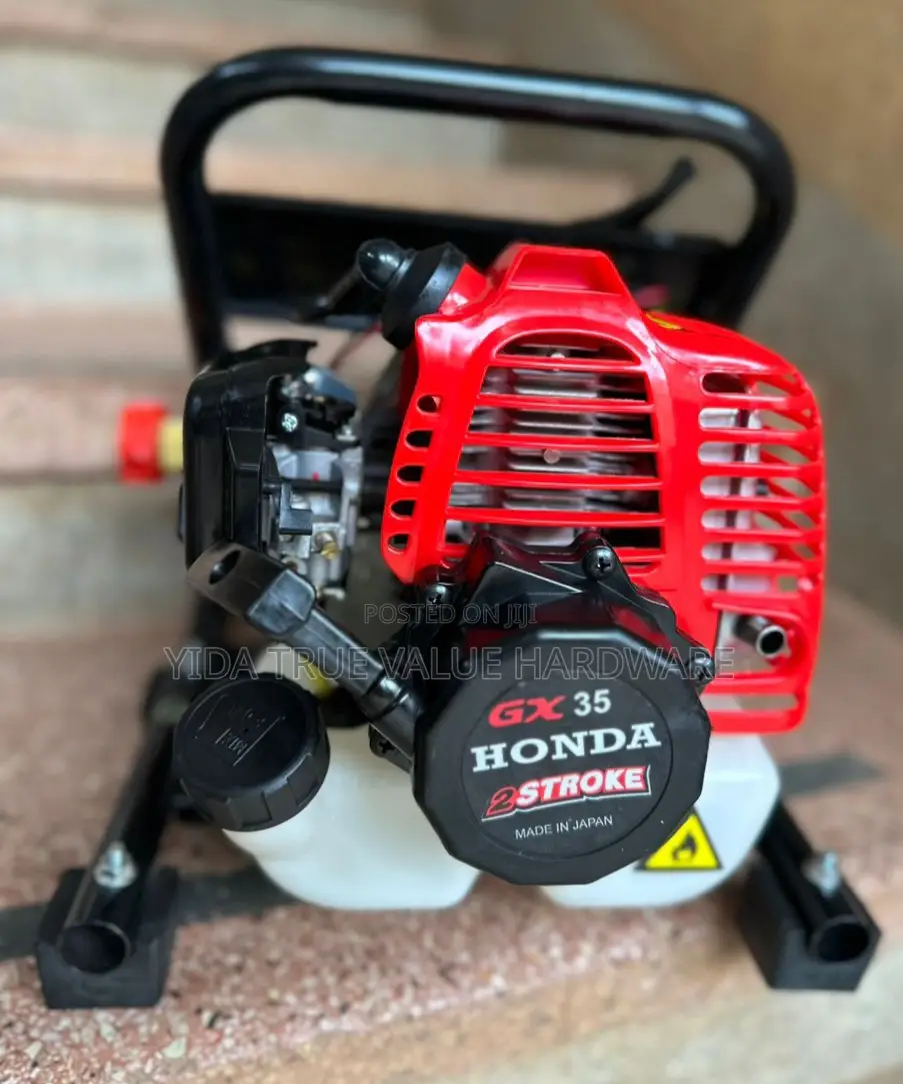 Portable Sprayer With 30m Hose Pipe