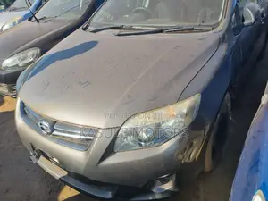 Photo - Toyota Corolla Fielder 2010 Beige