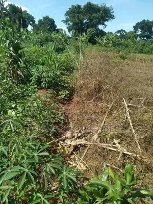 25decimals of Land for Sale in Kiwenda
