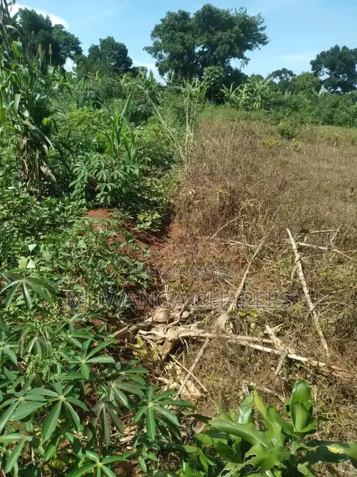 25decimals of Land for Sale in Kiwenda