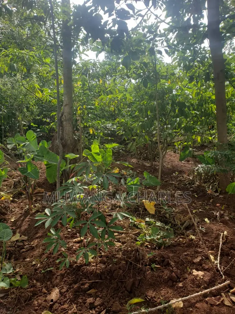 25decimals of Land for Sale in Kiwenda