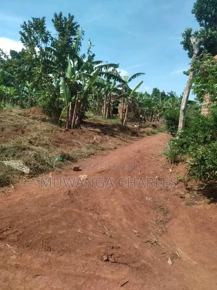 25decimals of Land for Sale in Kiwenda