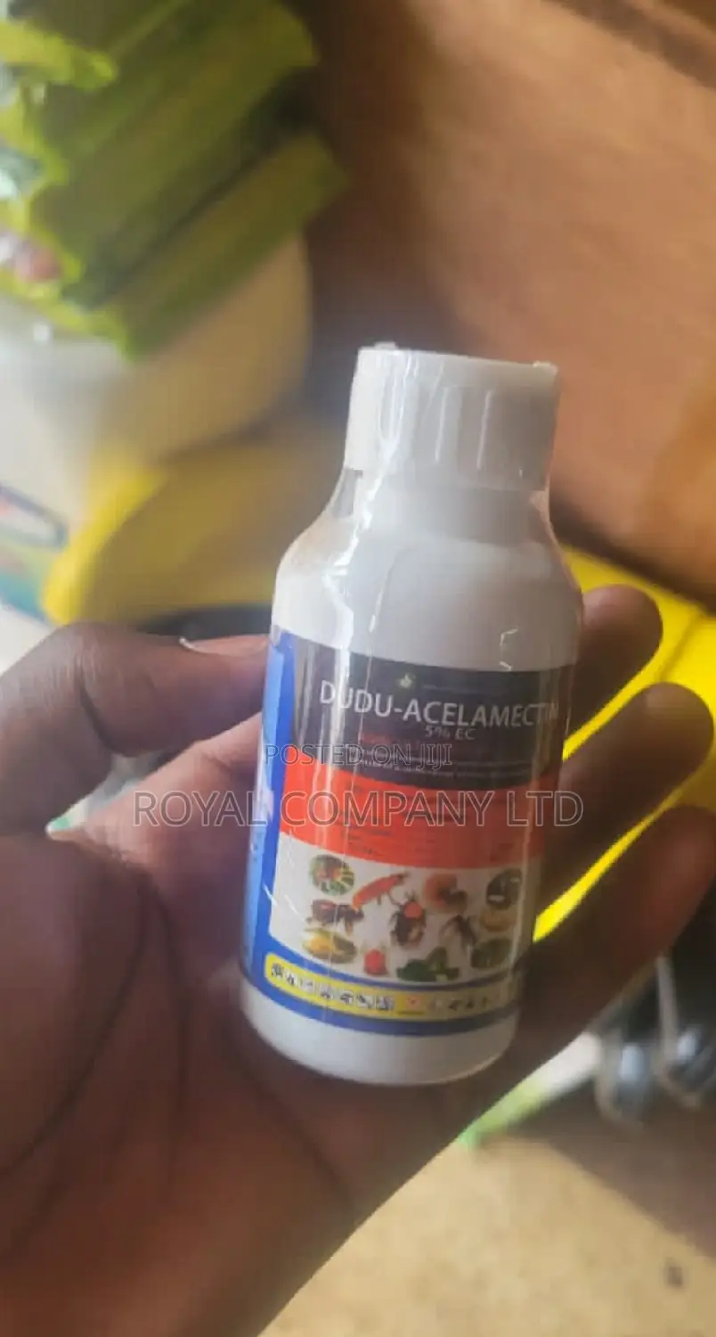 Bed Bug/Dudu Accelamacetin