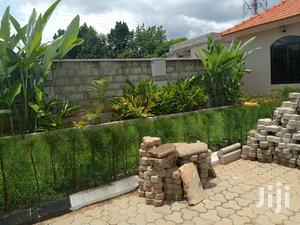 Najjera State Of The Art Bungaloo On Sell