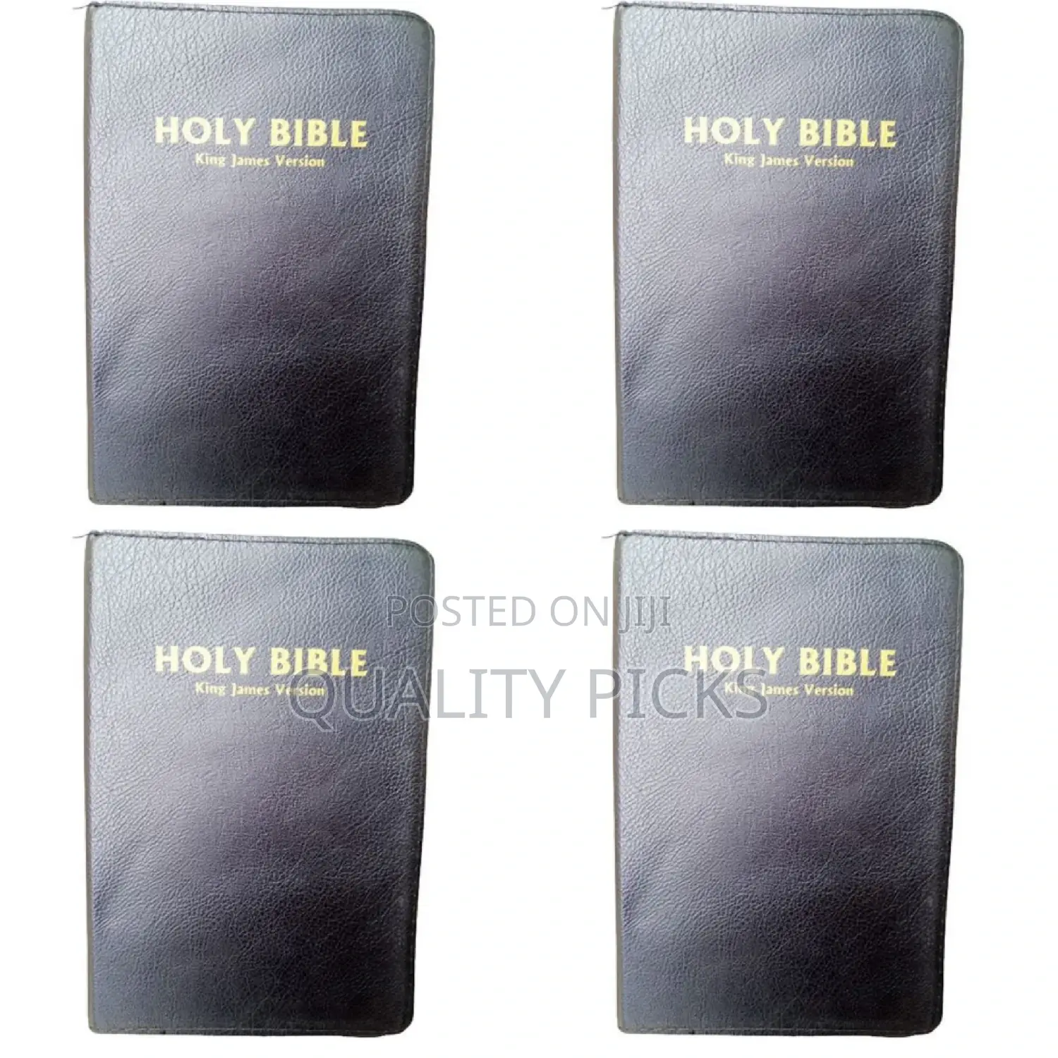 Brand New Holy Bible King James