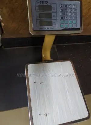 60kg Electronic Package TCS Fair Weighing Scale [2]