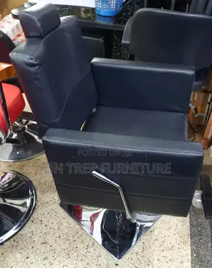 Stailing Salon Chair