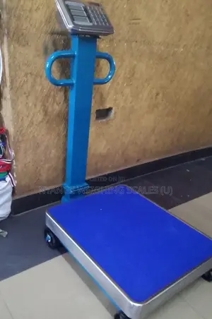 600kg Electronic Heavy Duty TCS Fair Weighing Scale [4]
