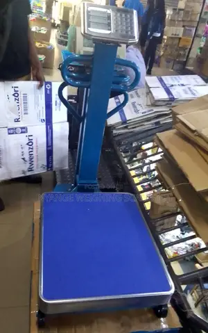 600kg Electronic Heavy Duty TCS Fair Weighing Scale [10]