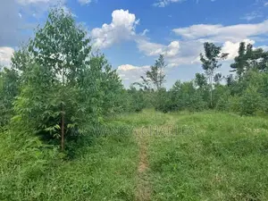 20acres for Sale in Nakasongola