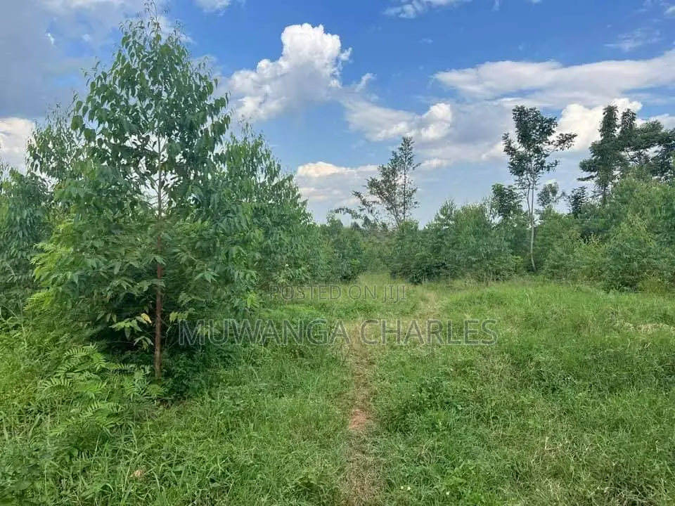 20acres for Sale in Nakasongola