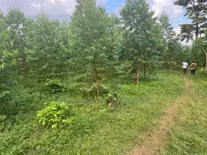 20acres for Sale in Nakasongola
