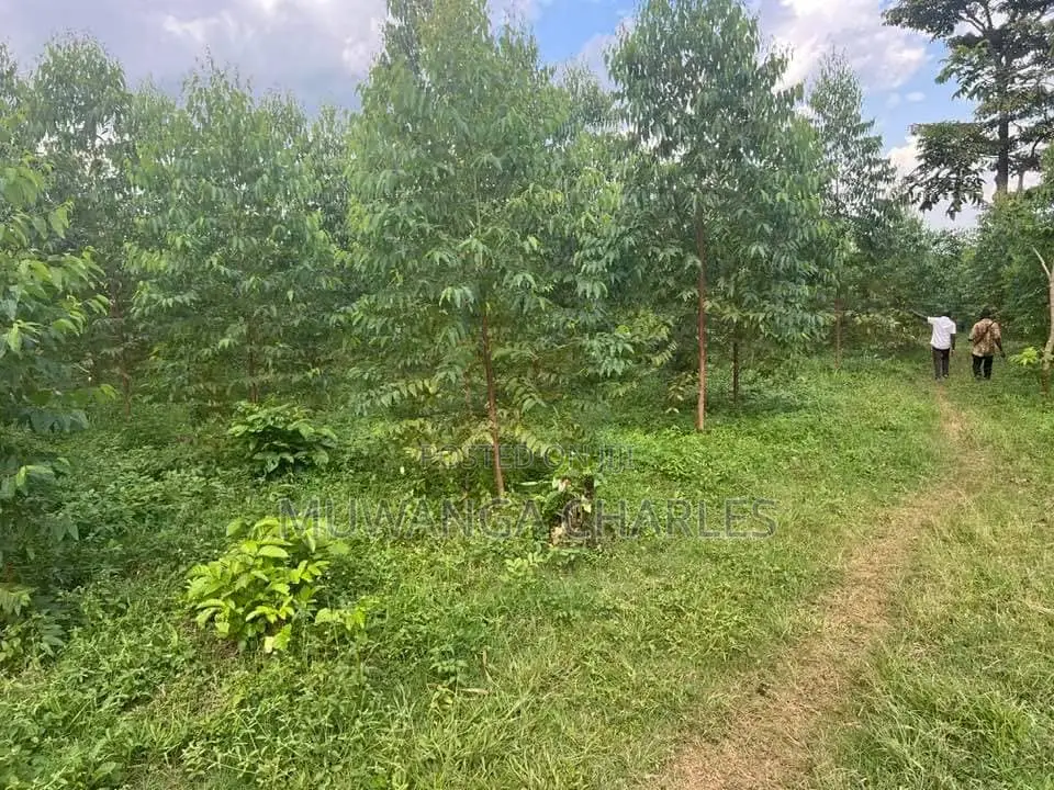 20acres for Sale in Nakasongola