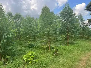 20acres for Sale in Nakasongola
