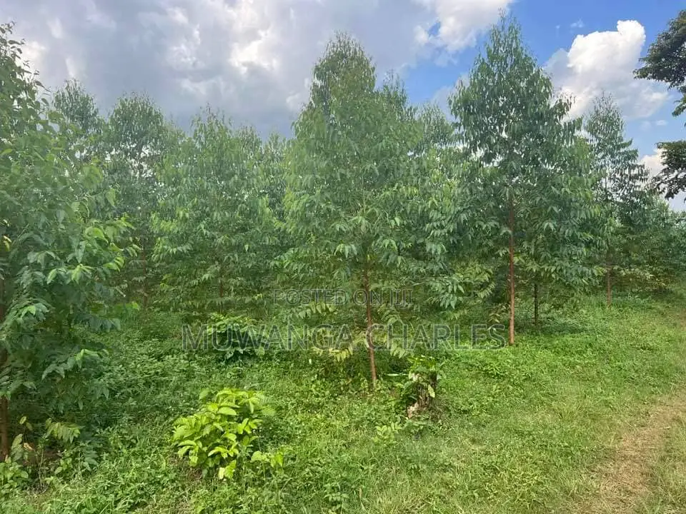 20acres for Sale in Nakasongola