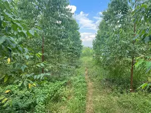 20acres for Sale in Nakasongola