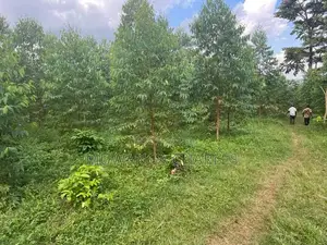 20acres for Sale in Nakasongola