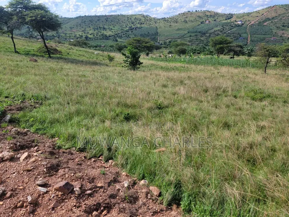 50decimals of for Sale in Kisaasi