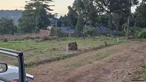 Genuine Titled Prime Plots for Sale at Wakiso Namusera