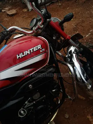 Hunter Cruiser 250cc 2023 Red