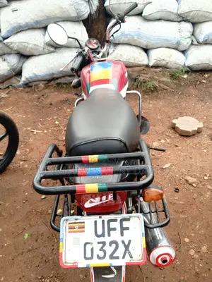 Hunter Cruiser 350cc 2022 Red