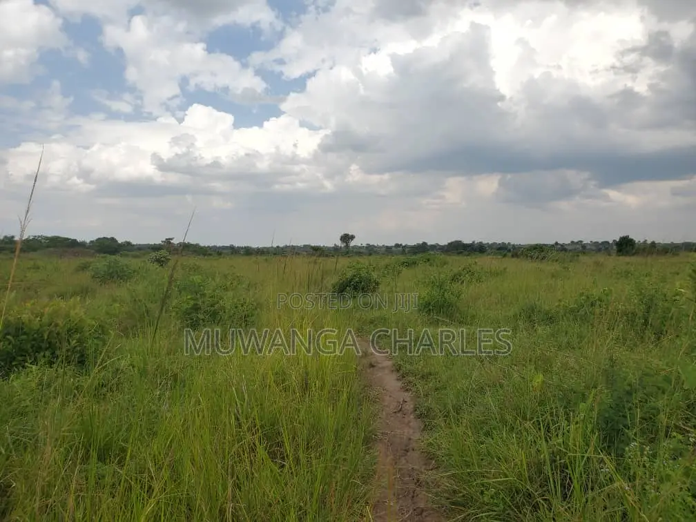 50acres of Land for Sale in Kabunyata