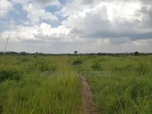 50acres of Land for Sale in Kabunyata