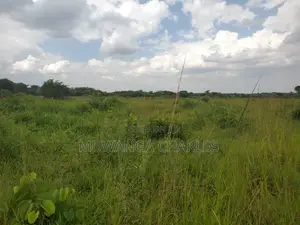 50acres of Land for Sale in Kabunyata