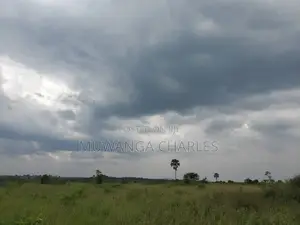 50acres of Land for Sale in Kabunyata