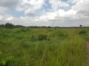 50acres of Land for Sale in Kabunyata