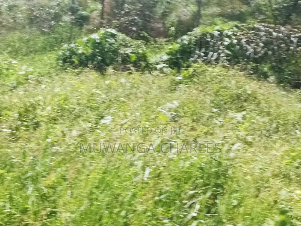 Plot for Sale in Busika