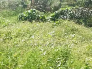 Plot for Sale in Busika