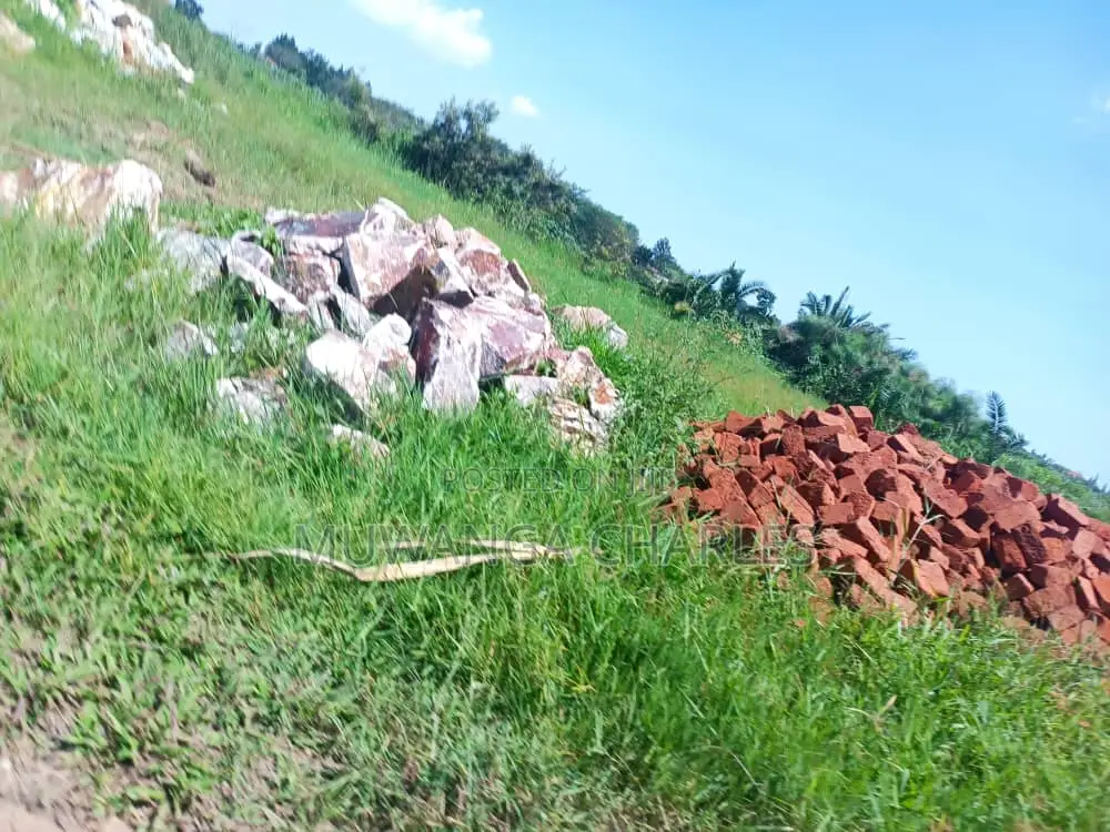 Plot for Sale in Busika
