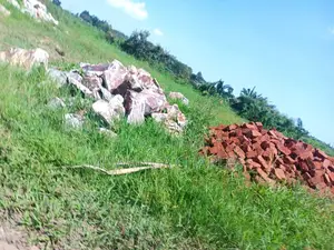 Plot for Sale in Busika