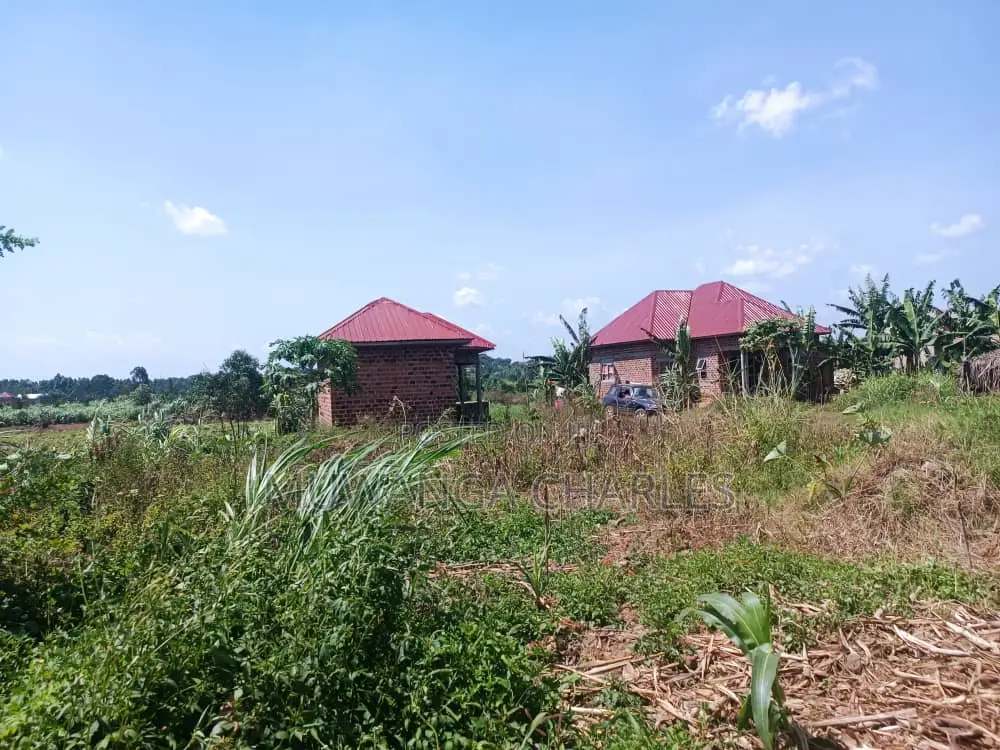 Plot for Sale in Busika
